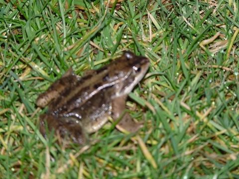 P1010964