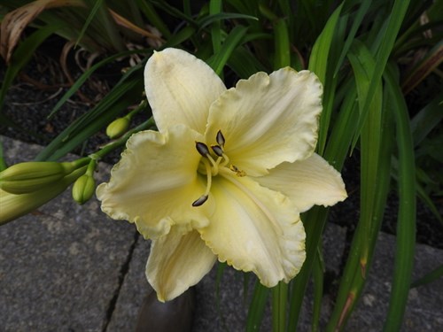 DSCN0596