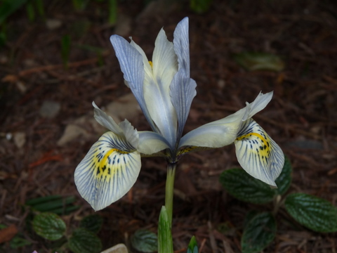 P1010945