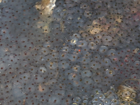 P1010975
