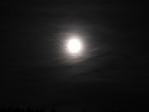 DSCN0640