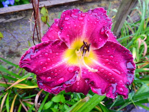 DSCN1028