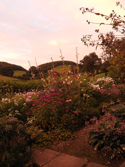 DSCN0881