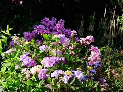 DSCN0932