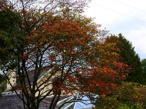 DSCN1181