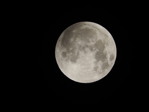 DSCN1349