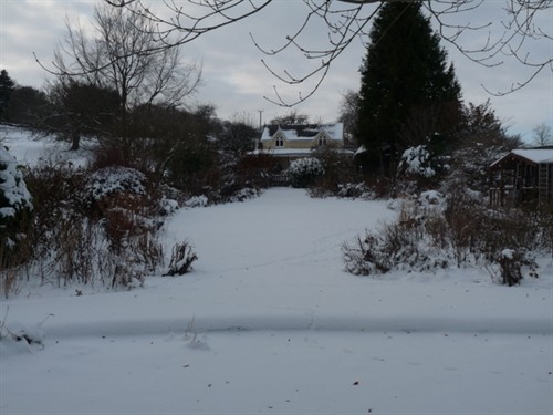 December Snow