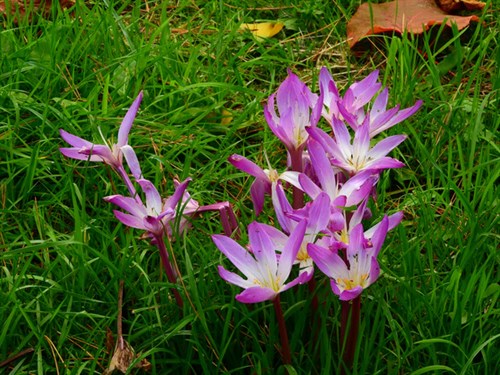DSCN1435
