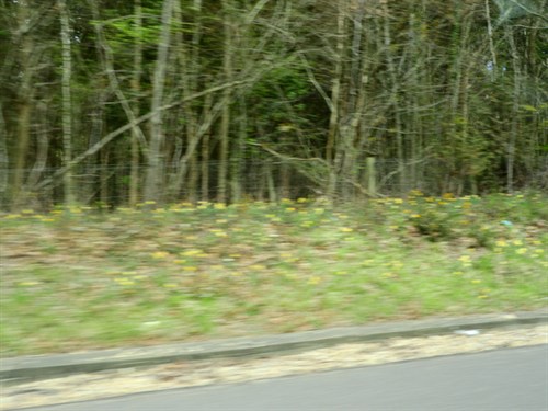 DSCN2425