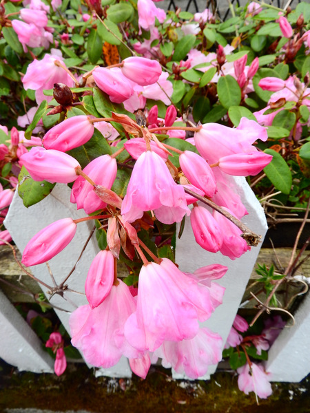 DSCN2659