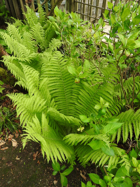 DSCN2765