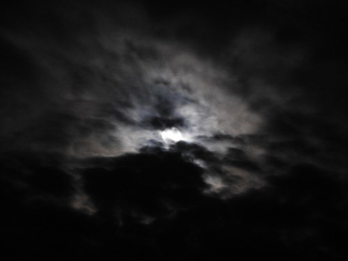 DSCN3069