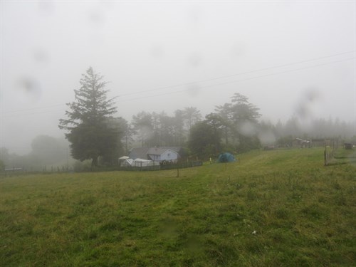 DSCN3175