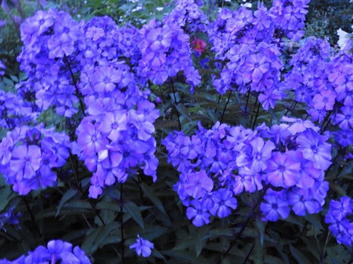 DSCN3614