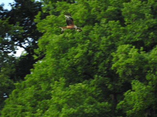 DSCN3422