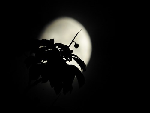 DSCN3917