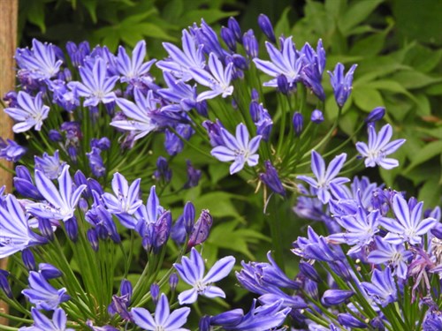 DSCN3952