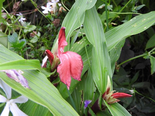 DSCN3965