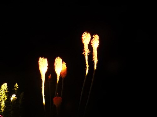 DSCN3883