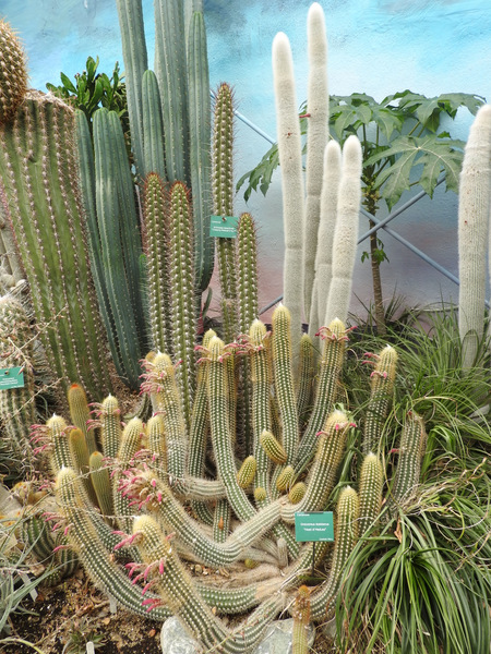 DSCN3758