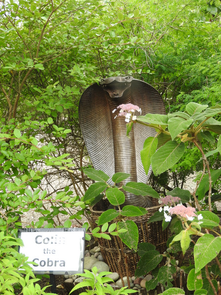 DSCN3769
