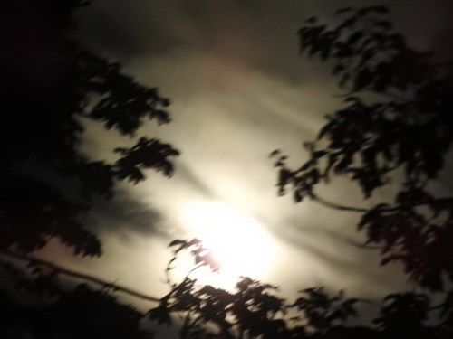 DSCN3918