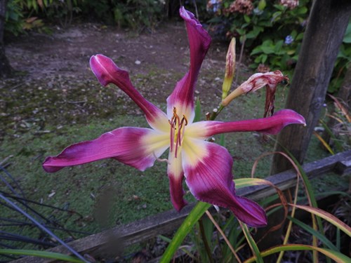 DSCN4280-001