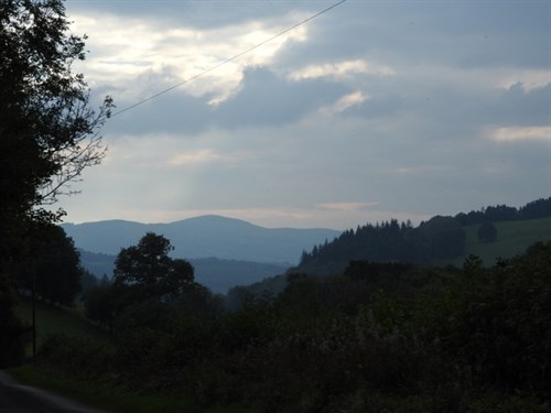 DSCN4561