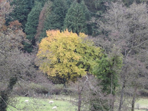 DSCN4934
