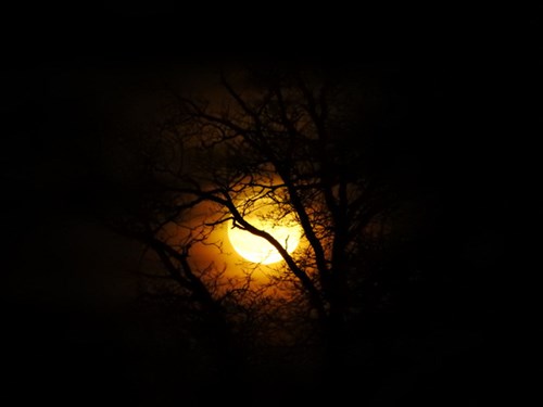 DSCN5242