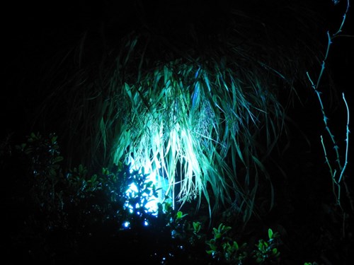 DSCN5180