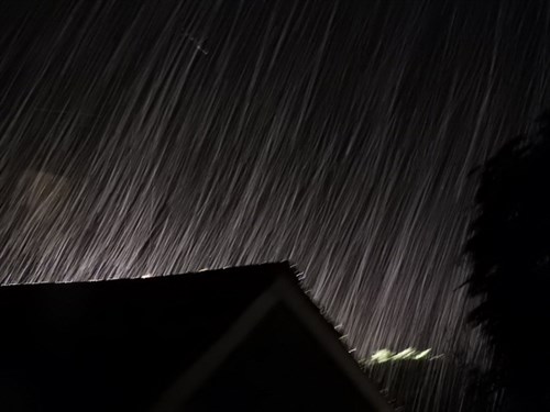 DSCN5590