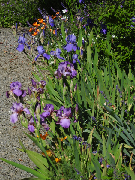 DSCN7062
