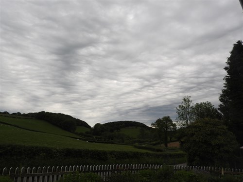 DSCN7129