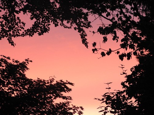 DSCN7703