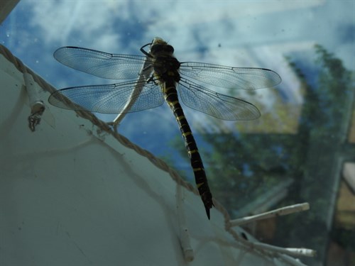 DSCN7647