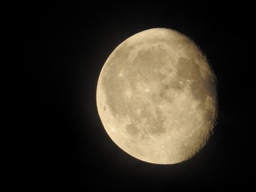 DSCN8086