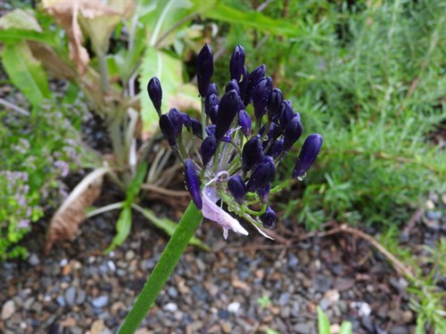 DSCN8063