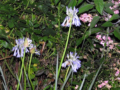 DSCN8302