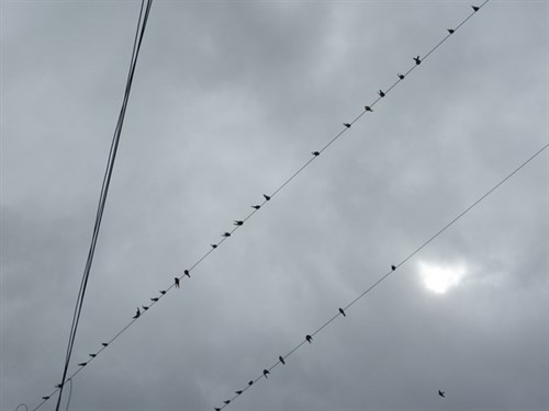 DSCN8476