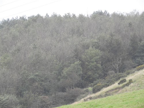 DSCN8570