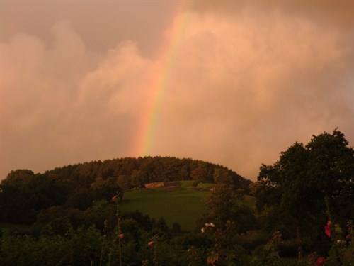 DSCN0001-013
