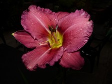 P1020461