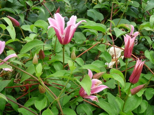 P1020858