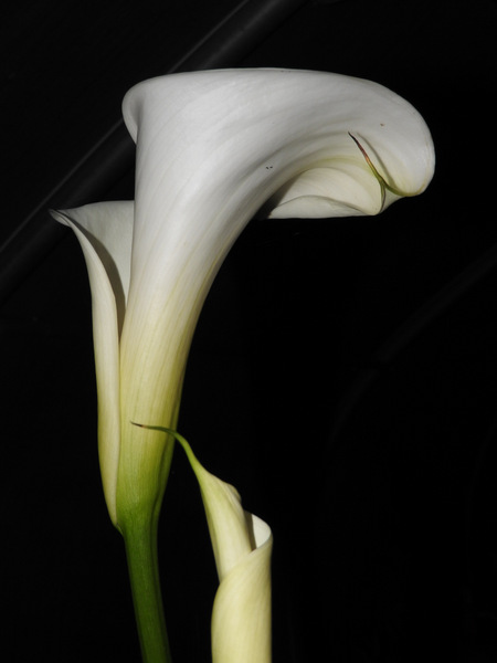 DSCN9533