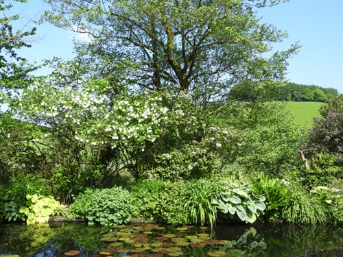 DSCN0272