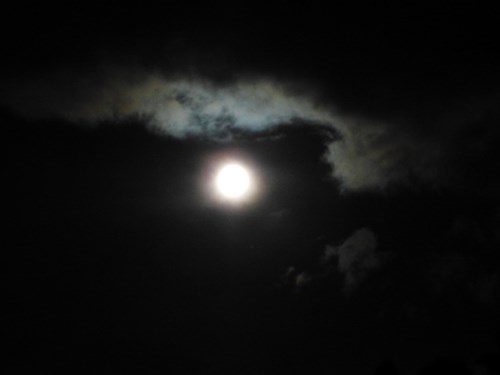 DSCN0713