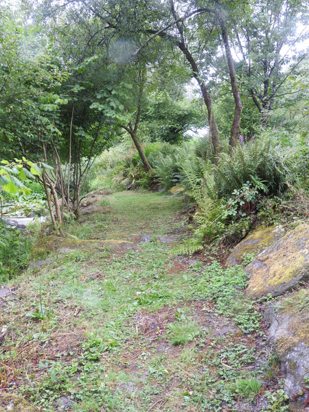 DSCN0731