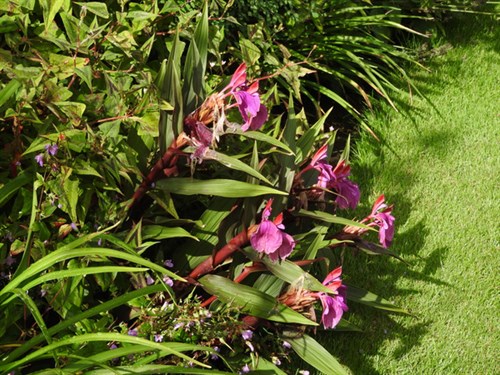 DSCN0847