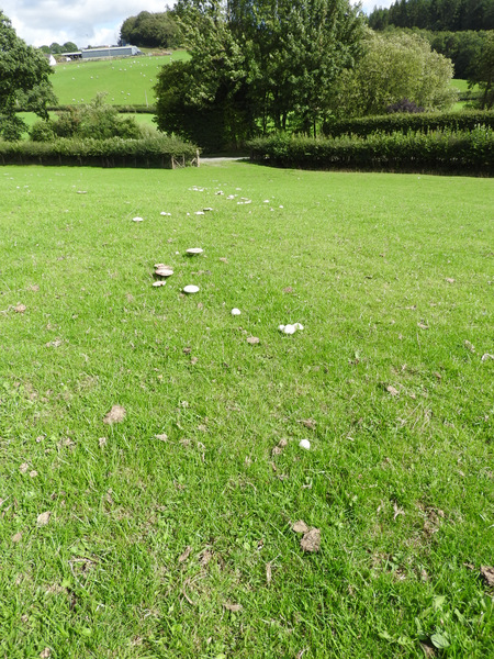DSCN0859